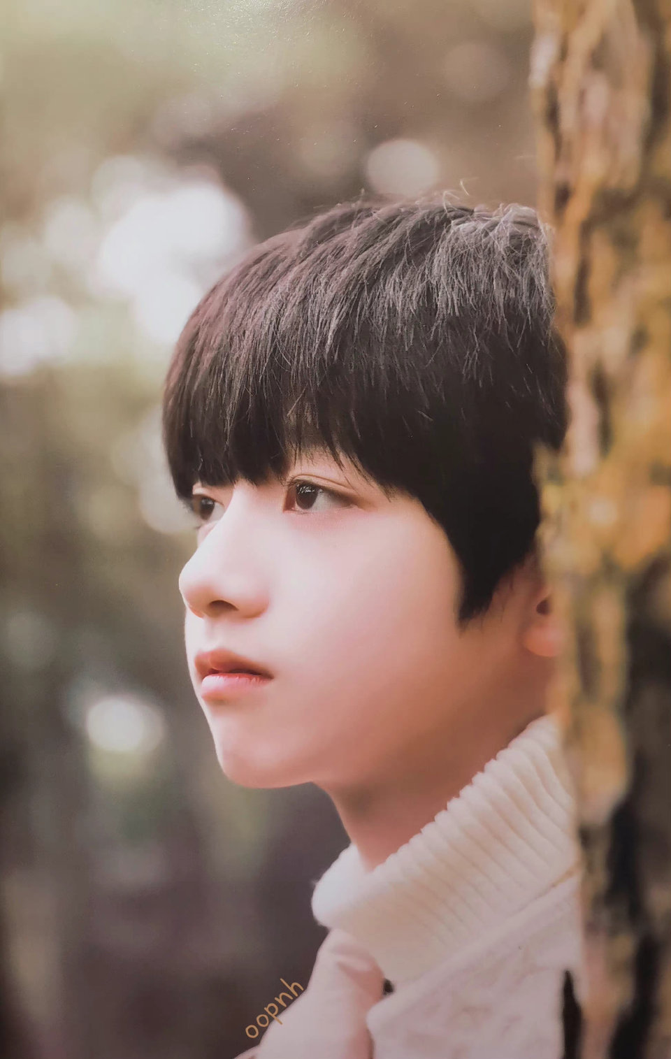 tf家族三代成员童年照朱志鑫苏新皓邓佳鑫张极左航张泽禹