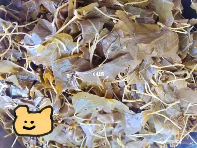 快要到立夏了,立夏之后的杨树叶就不能吃了.