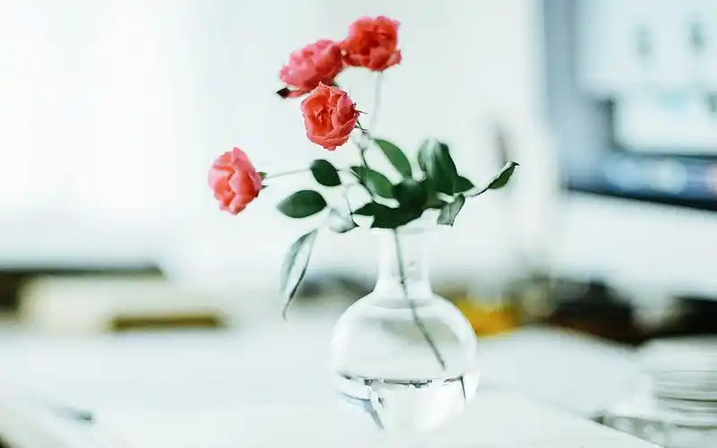 简约小清新静物唯美图片桌面壁纸