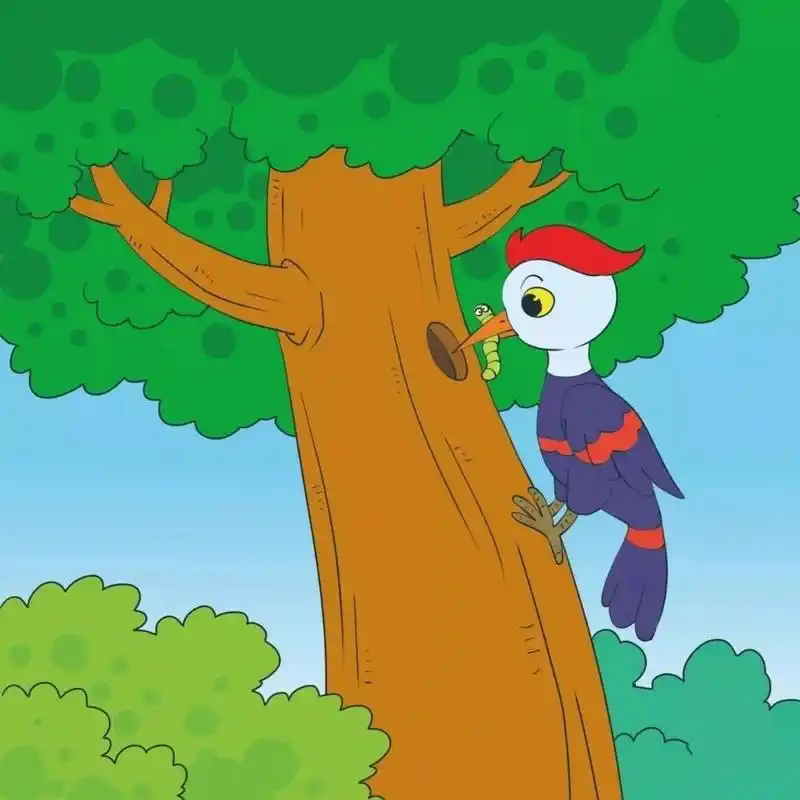 看图写话 啄木鸟医生 空气清新的清晨,啄木鸟在树林里找食物吃.