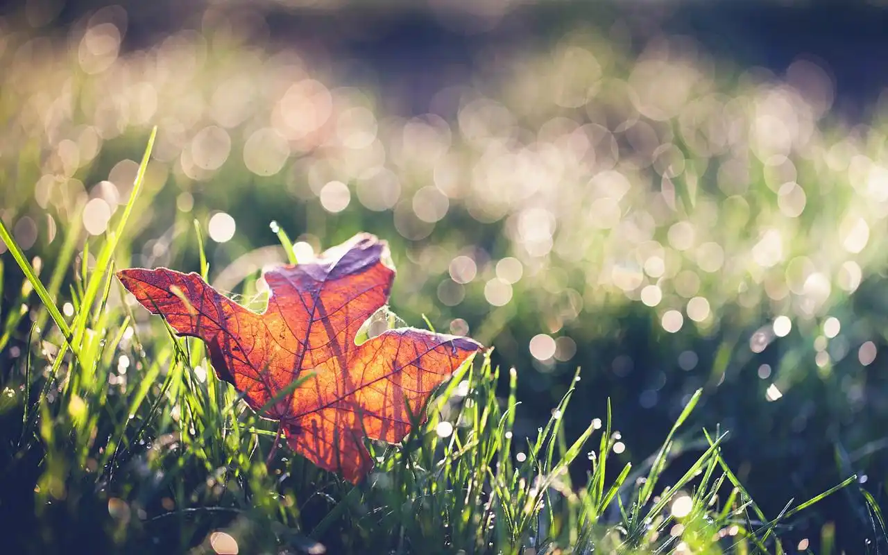 温暖阳光唯美意境壁纸