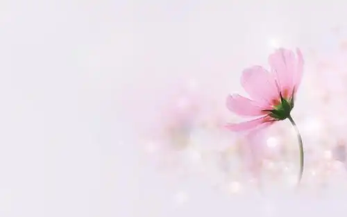 唯美风景qq背景装扮,高清壁纸,风景图片-回车桌面