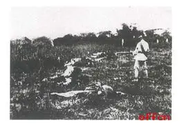 展示"四一二反革命政变"的图片资料,提问:图片反映的是哪一历史事件?